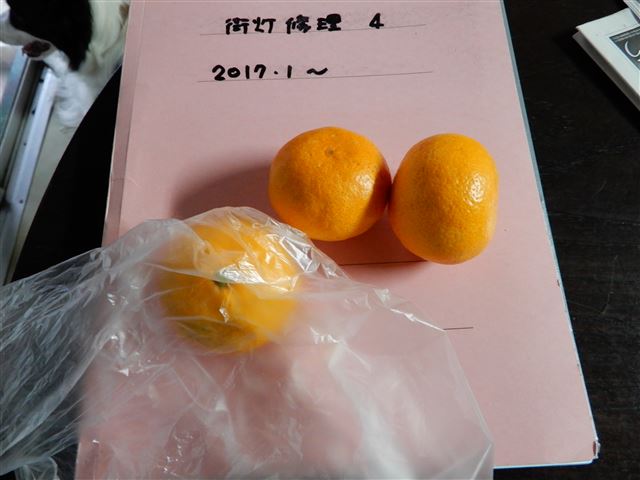 画像の説明 画像の説明