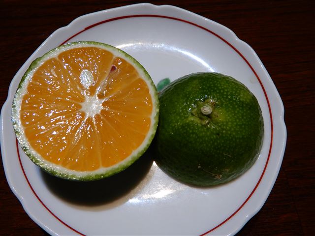画像の説明