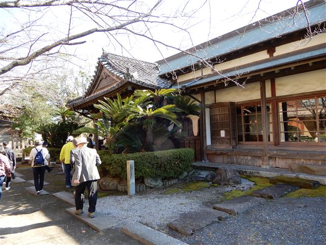 画像の説明