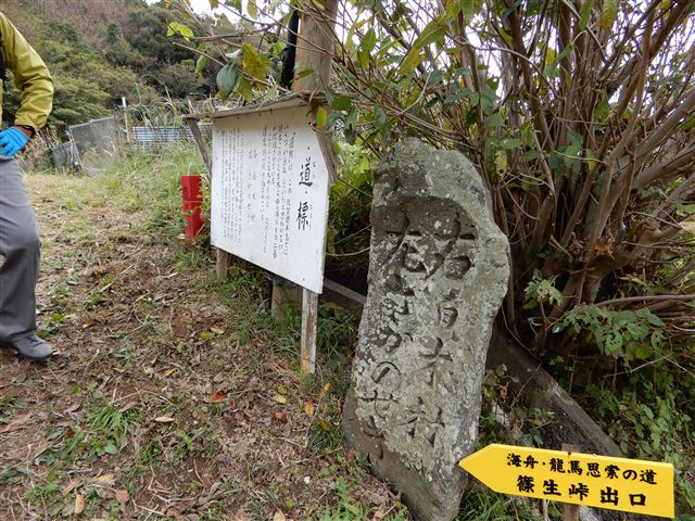 画像の説明