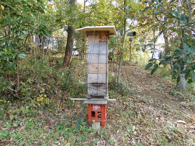 画像の説明