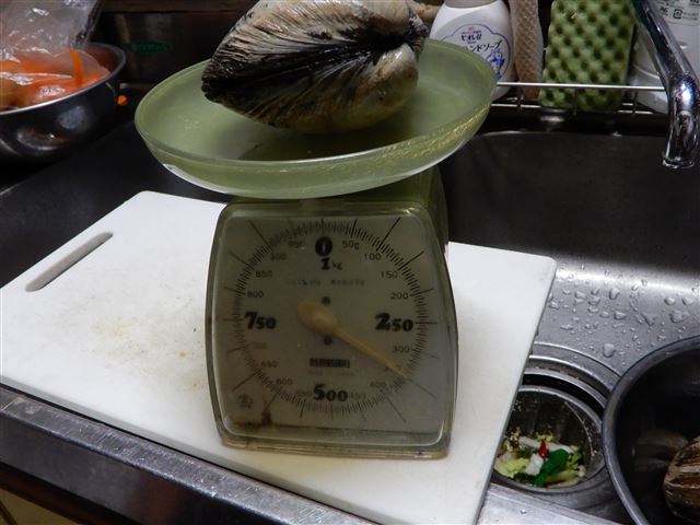 画像の説明