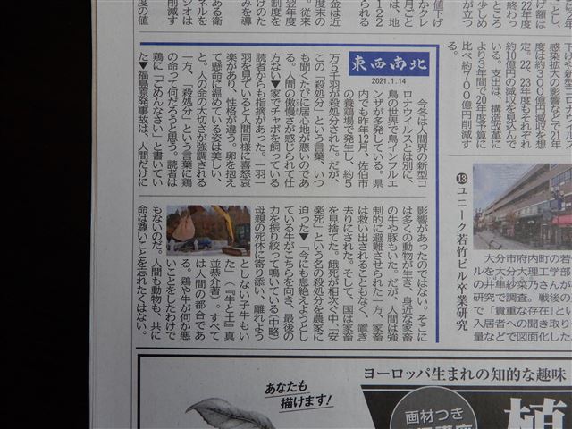 画像の説明