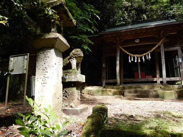 画像の説明 画像の説明