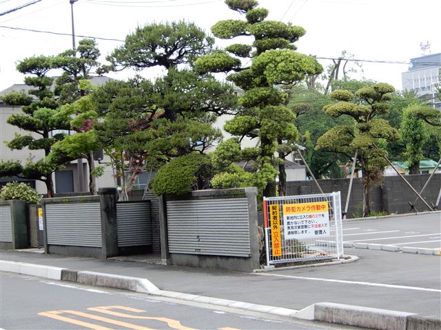 画像の説明 画像の説明