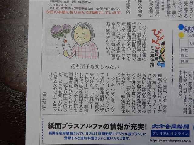 画像の説明