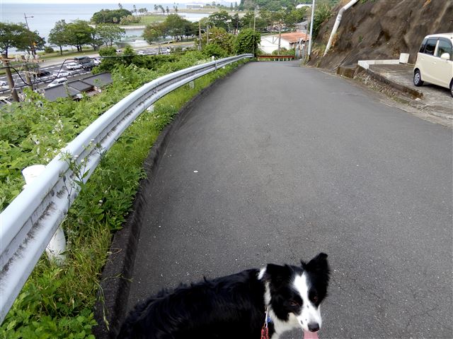 画像の説明