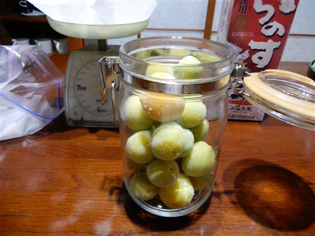 画像の説明