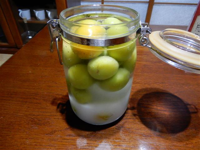 画像の説明