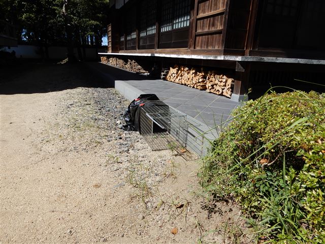 画像の説明