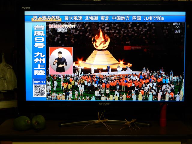 画像の説明