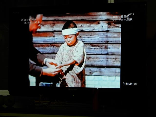 画像の説明