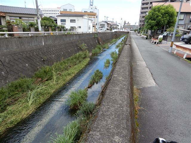 画像の説明