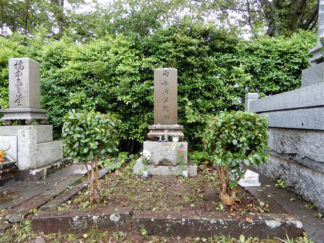 画像の説明