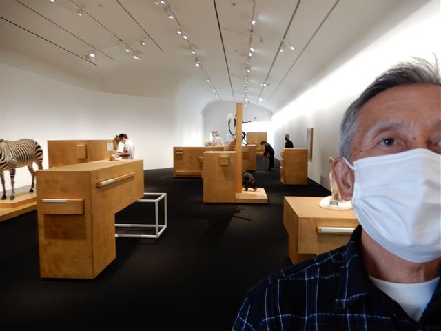画像の説明