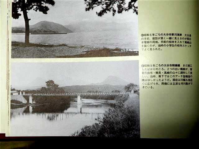 画像の説明