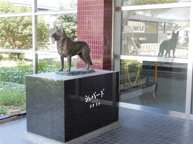画像の説明