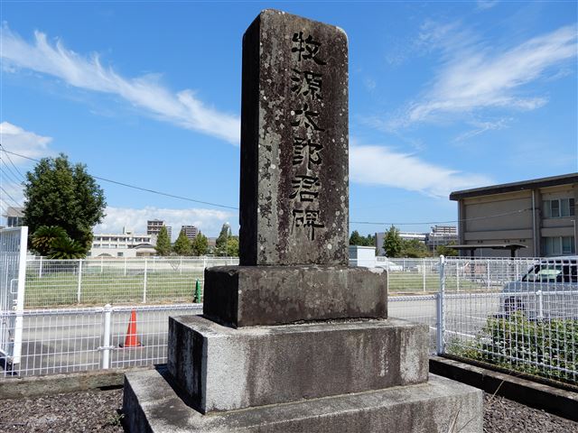 画像の説明