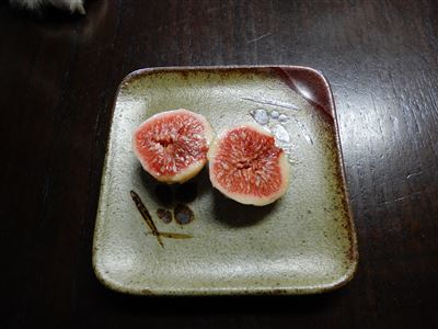 画像の説明