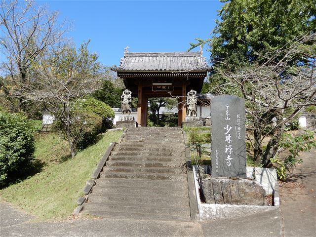画像の説明 画像の説明