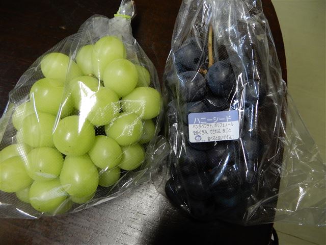 画像の説明