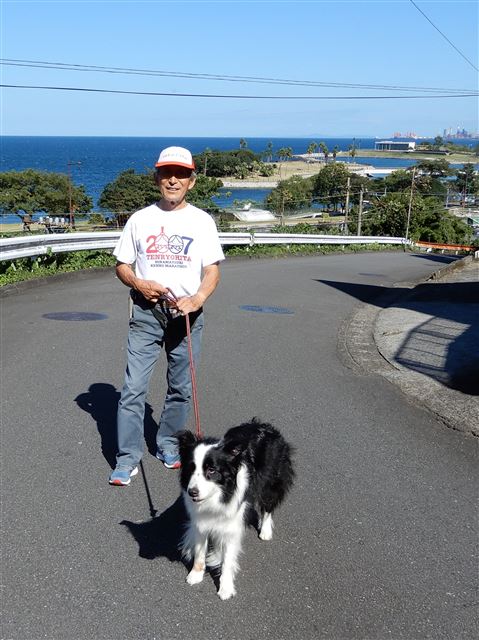 画像の説明