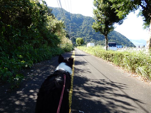画像の説明