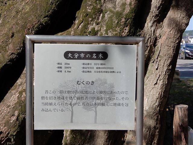 画像の説明