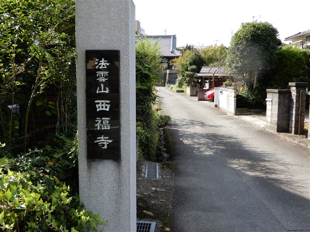 画像の説明