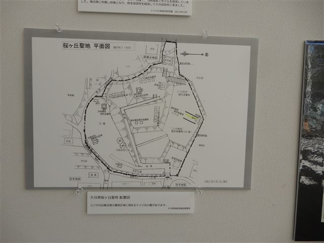 画像の説明