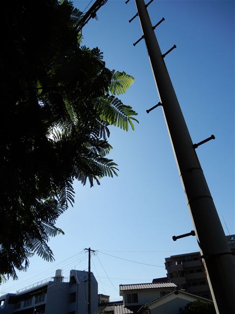 画像の説明