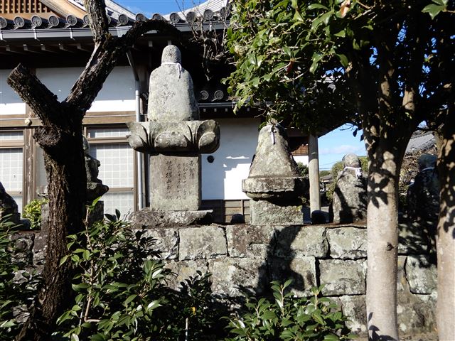 画像の説明