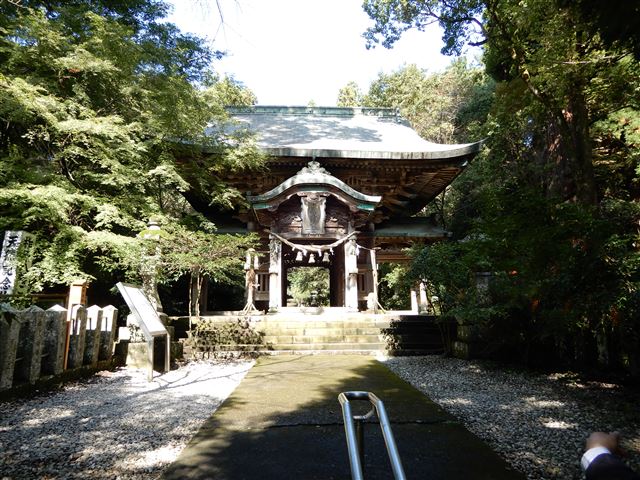 画像の説明