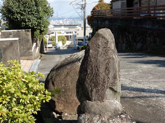 画像の説明
