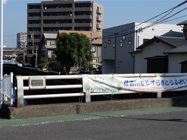 画像の説明
