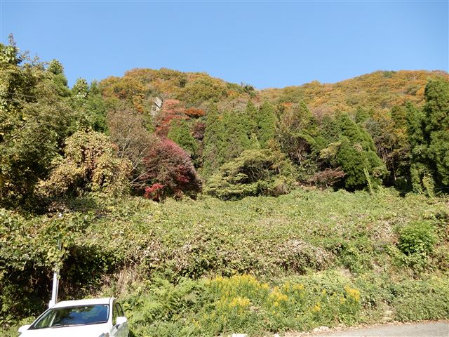 画像の説明