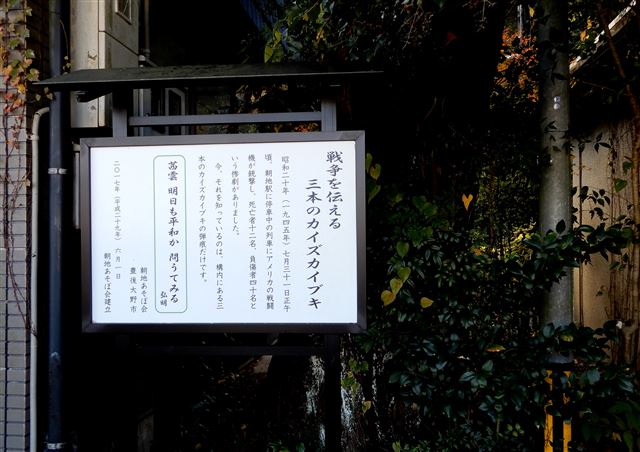 画像の説明