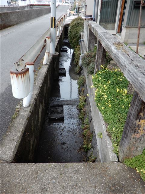 画像の説明
