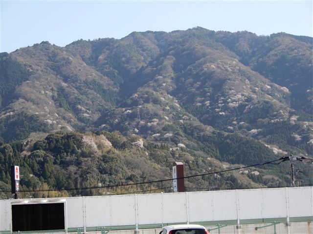 画像の説明 画像の説明