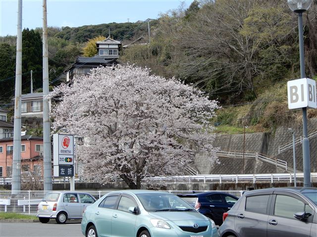 画像の説明