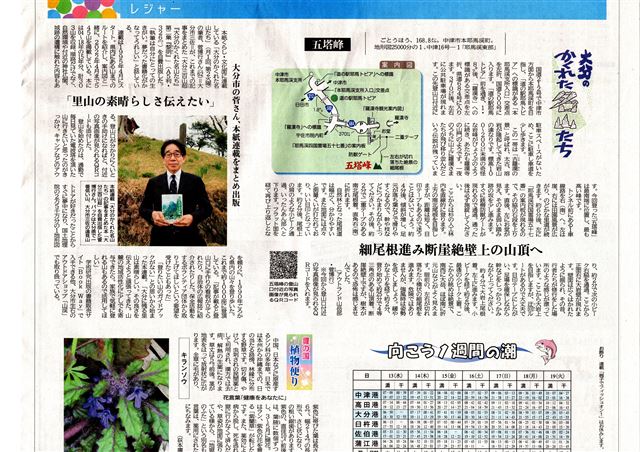 画像の説明