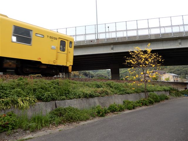画像の説明
