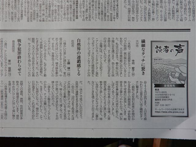 画像の説明