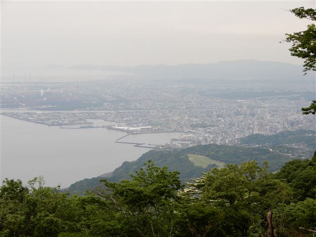 画像の説明