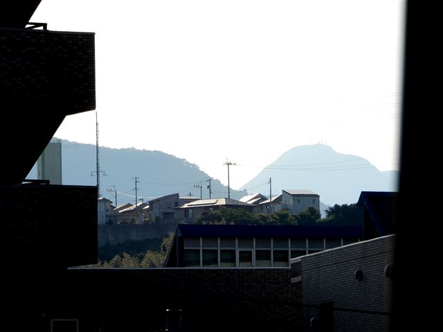 画像の説明