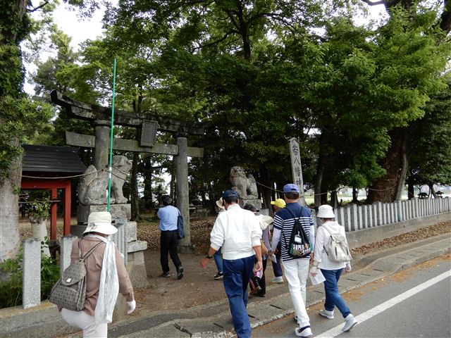 画像の説明