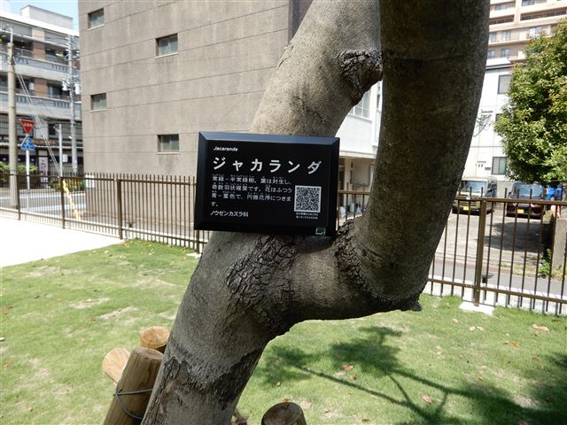 画像の説明