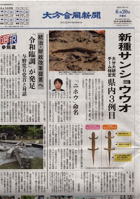画像の説明