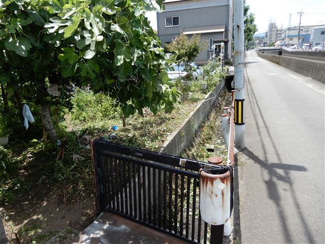 画像の説明