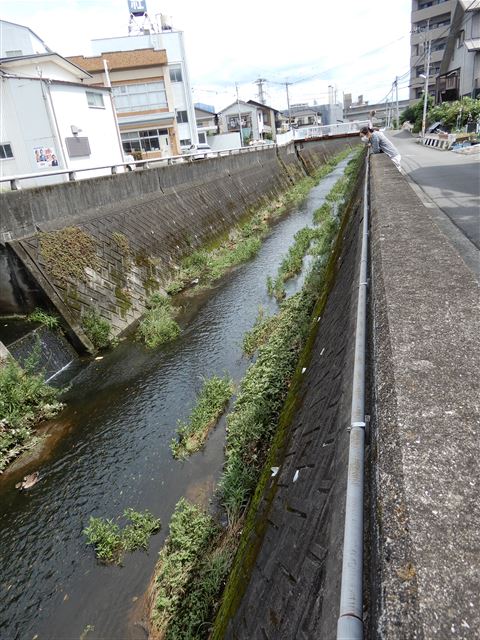 画像の説明